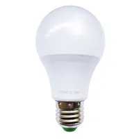 Smart LED bulb E27 DC 12V