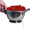 Colanders & Strainers