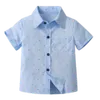 Košele
