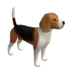 Dogs