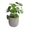 Planters & Plant Stands