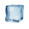 Ice Cube Trays