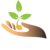Seeds