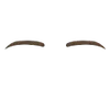 Eyebrows
